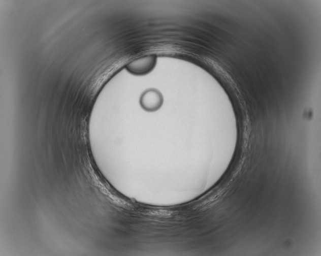X0000111951329200908241155