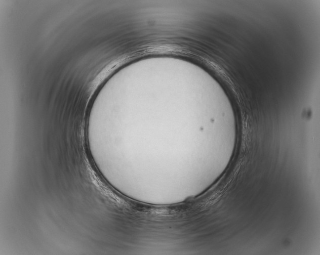 X0000111951330200908241155
