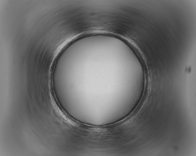 X0000111951333200908241155