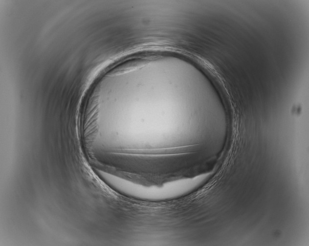 X0000111951334200908241155