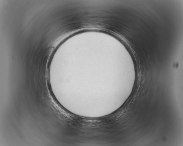 X0000111951335200908241155