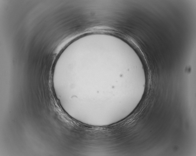 X0000111951336200908241155