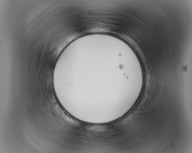 X0000111951337200908241155