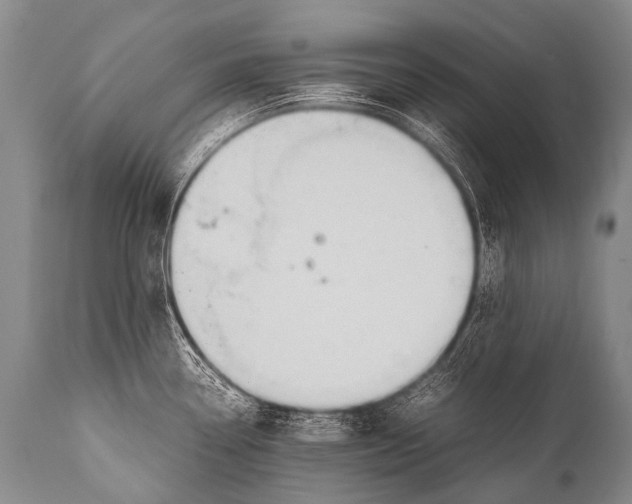 X0000111951338200908241155
