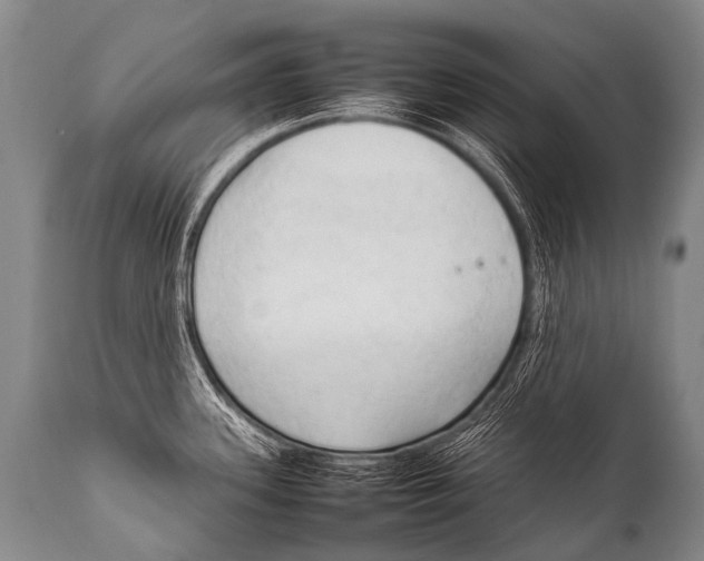 X0000111951339200908241155