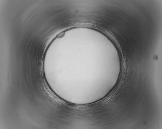 X0000111951340200908241155