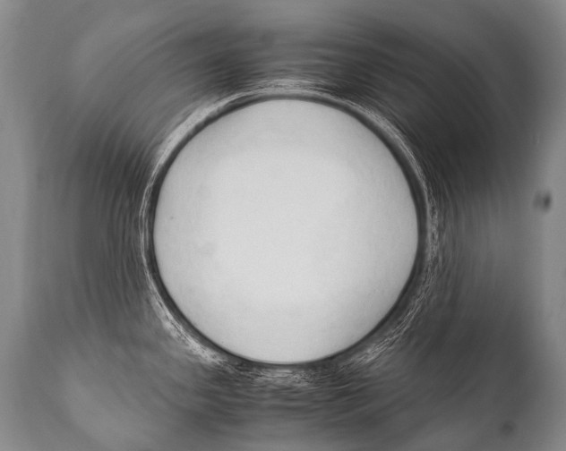 X0000111951341200908241155