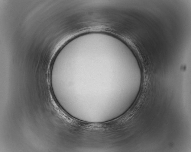 X0000111951342200908241155