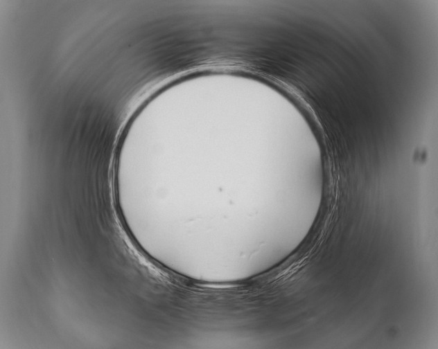 X0000111951343200908241155