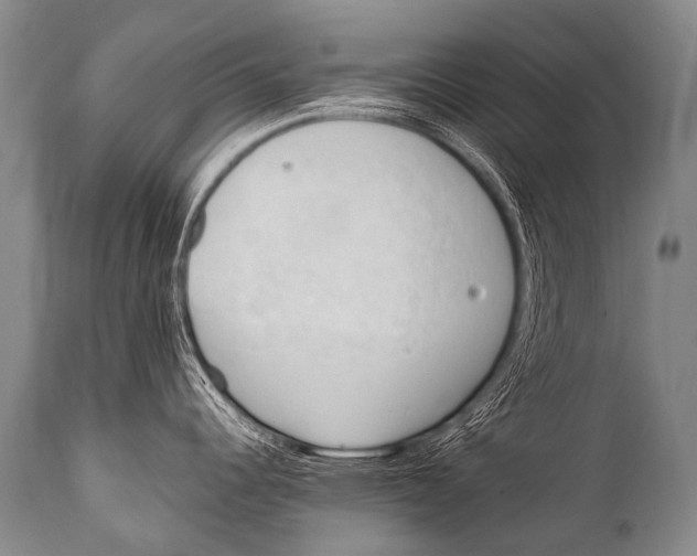 X0000111951344200908241155