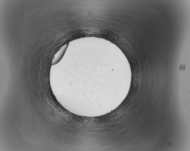 X0000111951345200908241154