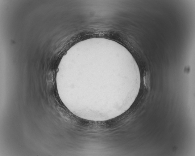 X0000111951347200908241154