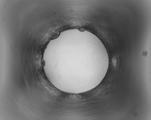 X0000111951348200908241154