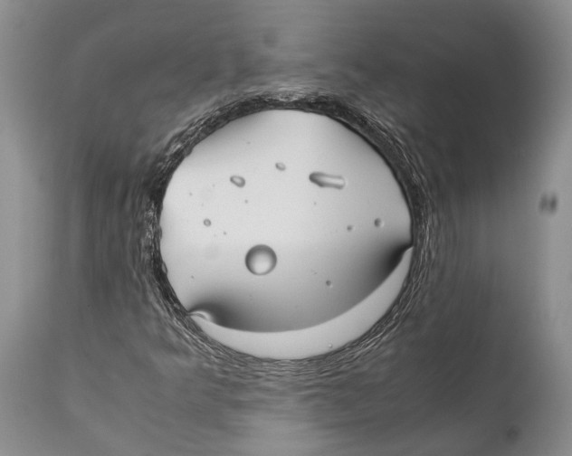 X0000111951349200908241154