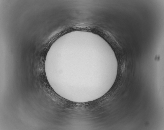 X0000111951350200908241154
