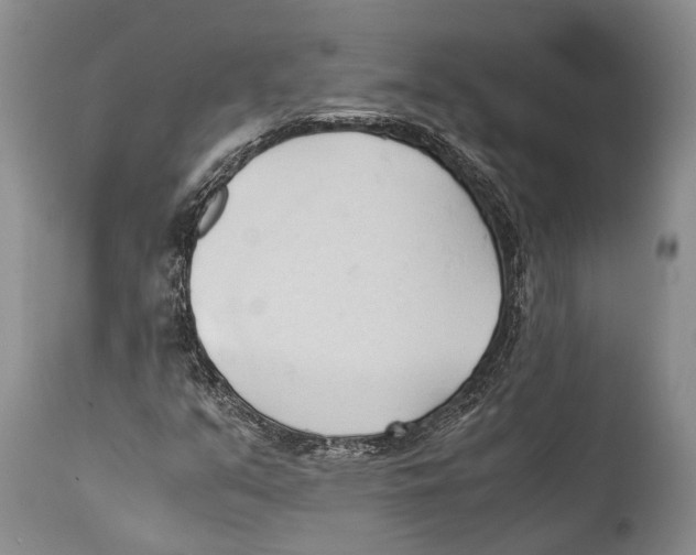 X0000111951351200908241154