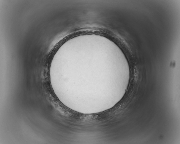 X0000111951352200908241154