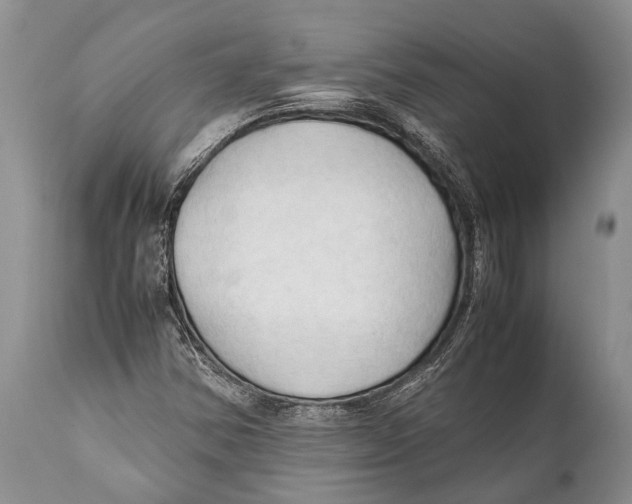 X0000111951354200908241154