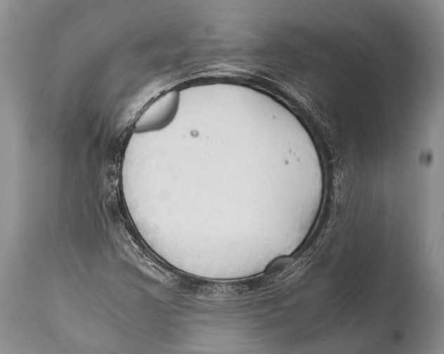 X0000111951355200908241154