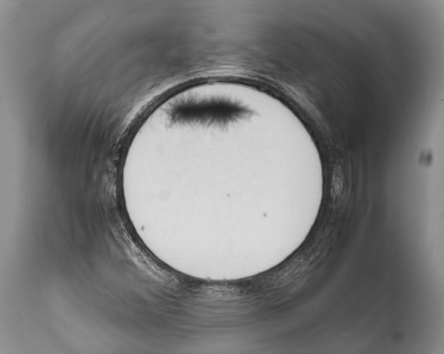 X0000111951356200908241154
