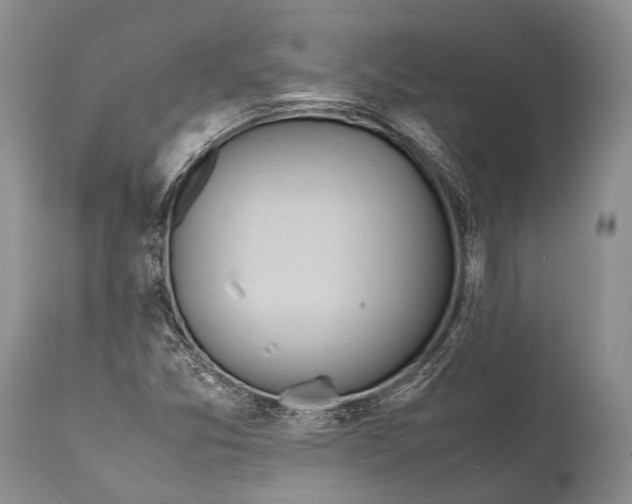 X0000111951357200908241154