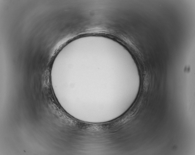 X0000111951358200908241154