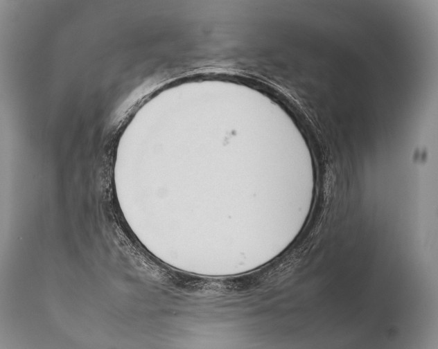 X0000111951359200908241154