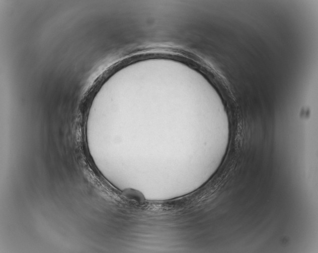 X0000111951360200908241154