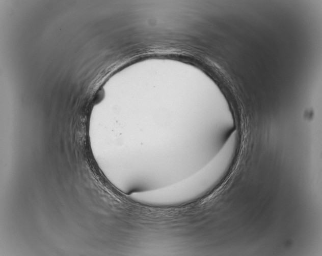 X0000111951361200908241154