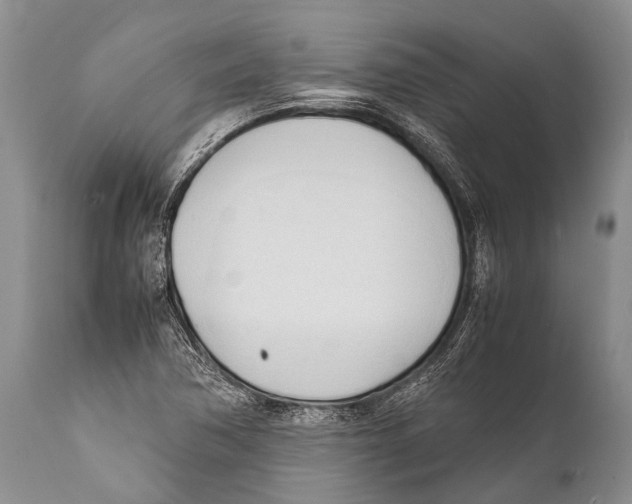 X0000111951362200908241154