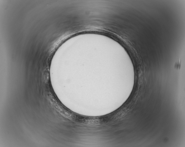 X0000111951363200908241154