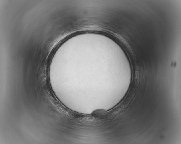 X0000111951364200908241154