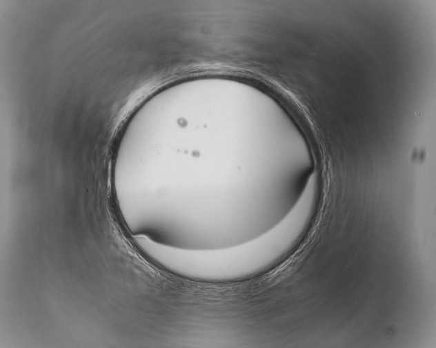 X0000111951365200908241154