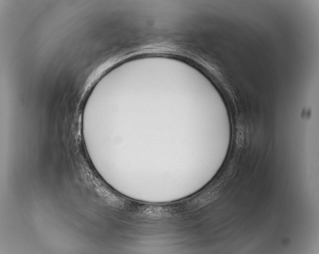X0000111951366200908241154