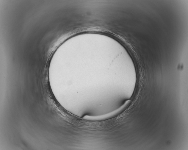 X0000111951367200908241154