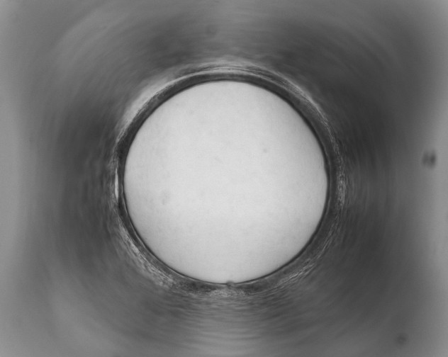 X0000111951368200908241154