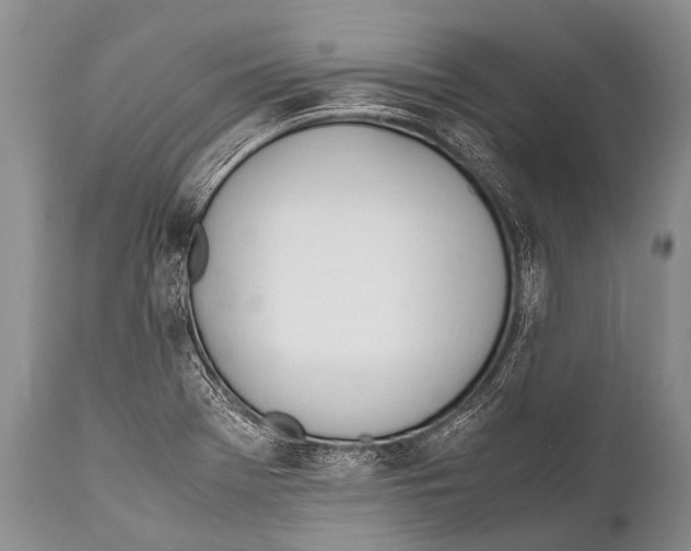 X0000111951369200908241154