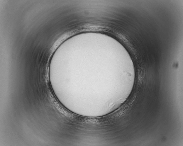 X0000111951370200908241154