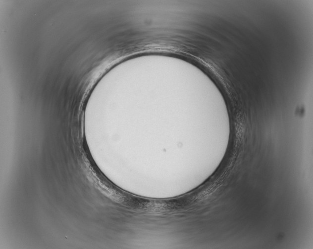 X0000111951371200908241154