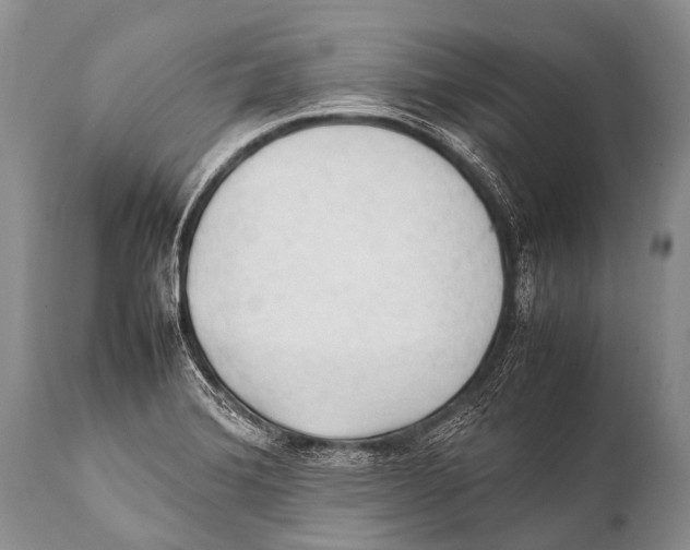 X0000111951372200908241154