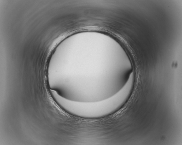 X0000111951373200908241154