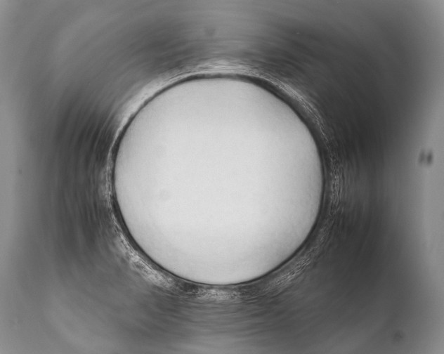 X0000111951374200908241154