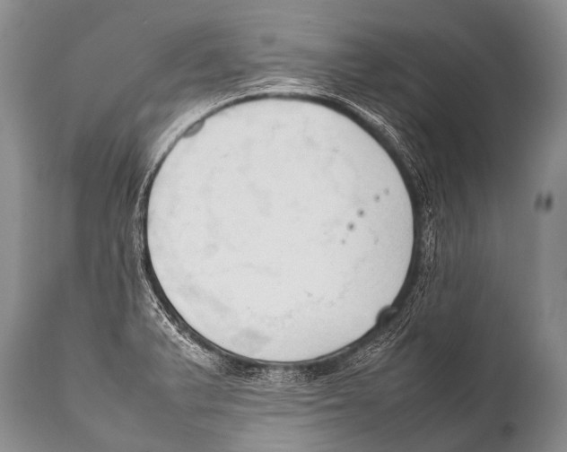 X0000111951375200908241154