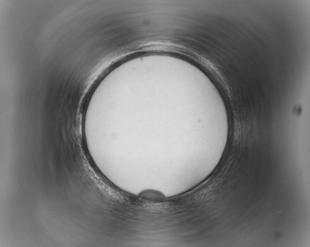 X0000111951376200908241154