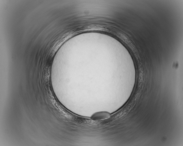X0000111951377200908241154