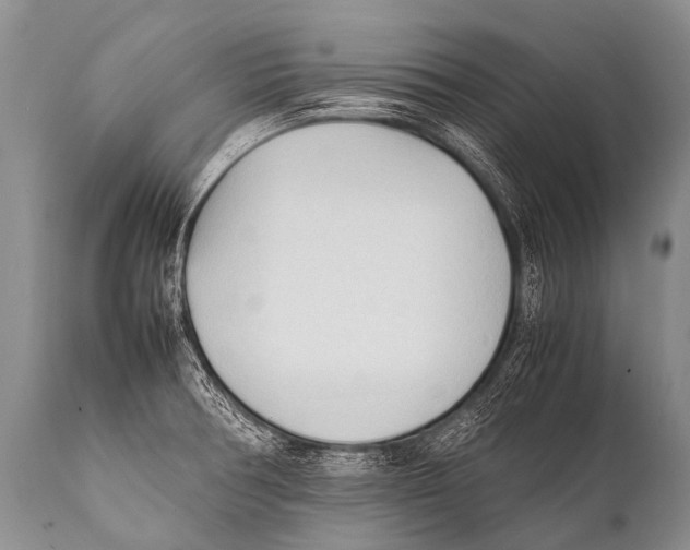 X0000111951378200908241154