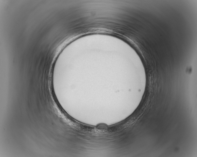 X0000111951379200908241154
