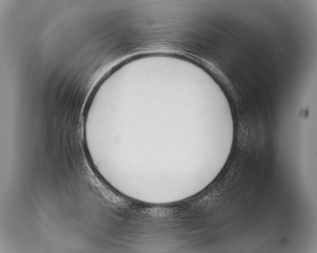 X0000111951380200908241154