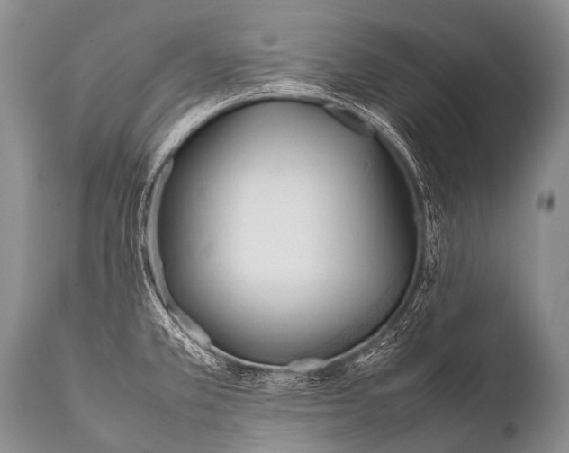 X0000111951381200908241154