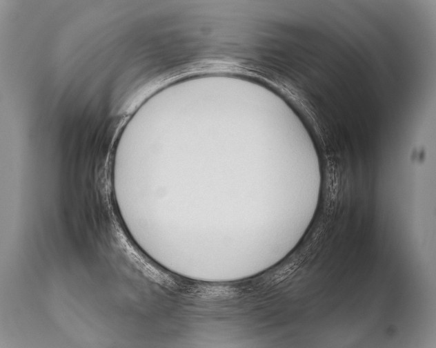 X0000111951382200908241154